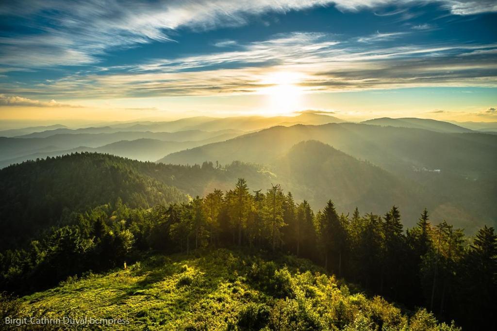 Schwarzwald-Traum Mit Pool Und Sauna Unterkirnach Buitenkant foto