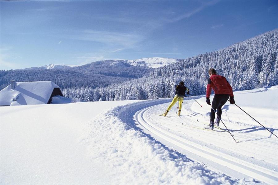 Schwarzwald-Traum Mit Pool Und Sauna Unterkirnach Buitenkant foto