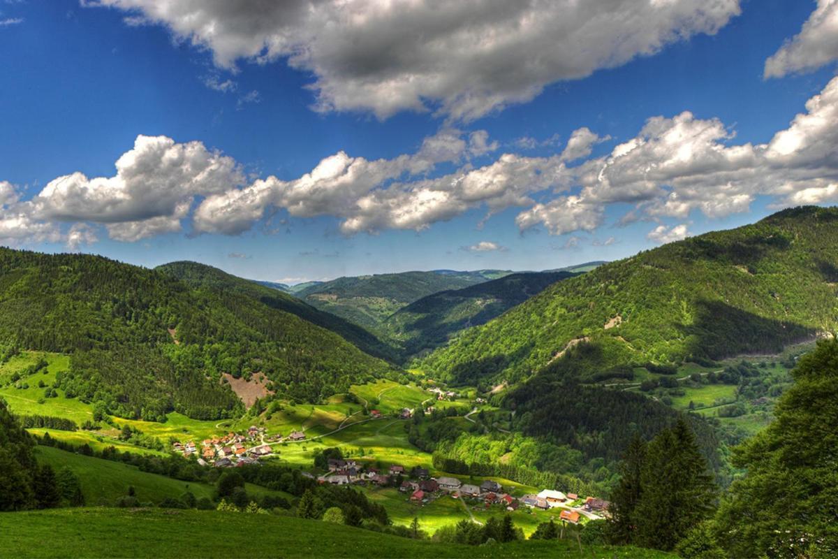 Schwarzwald-Traum Mit Pool Und Sauna Unterkirnach Buitenkant foto