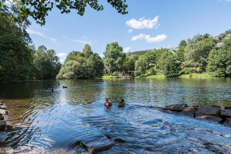 Schwarzwald-Traum Mit Pool Und Sauna Unterkirnach Buitenkant foto
